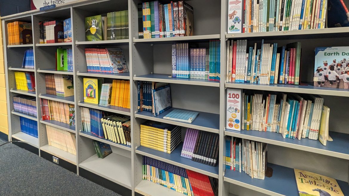 School library books, like these at R.L. Brown Gifted and Talented Academy in Jacksonville, remain a controversial issue in Florida. 