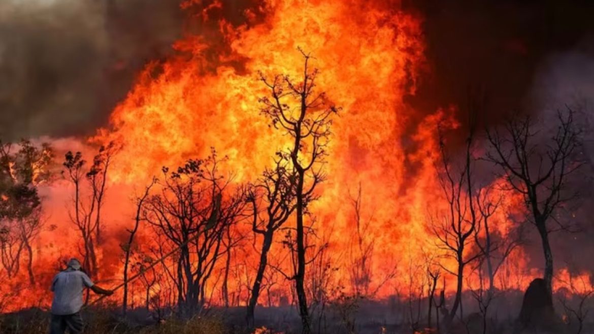 Foto: Fabio Rodrigues Pozzebom/Agência Brasil