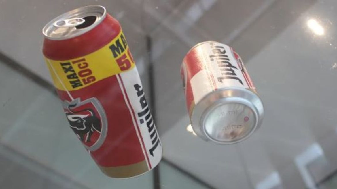 Reprodução/Museu LAM