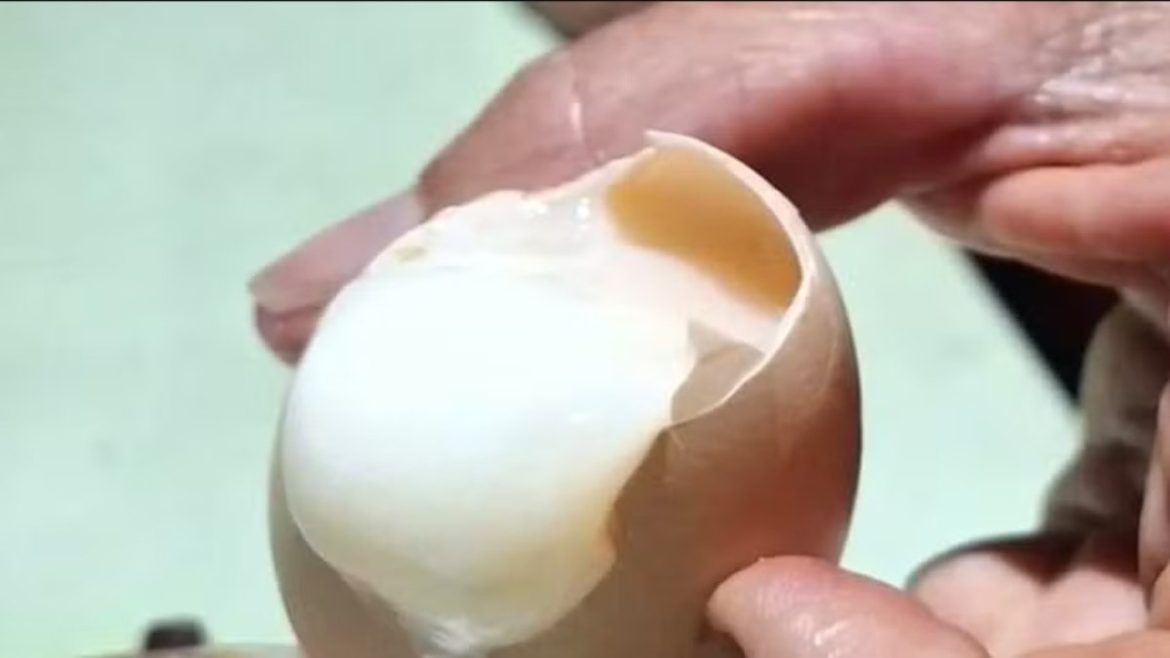 Reprodução/Arquivo pessoal