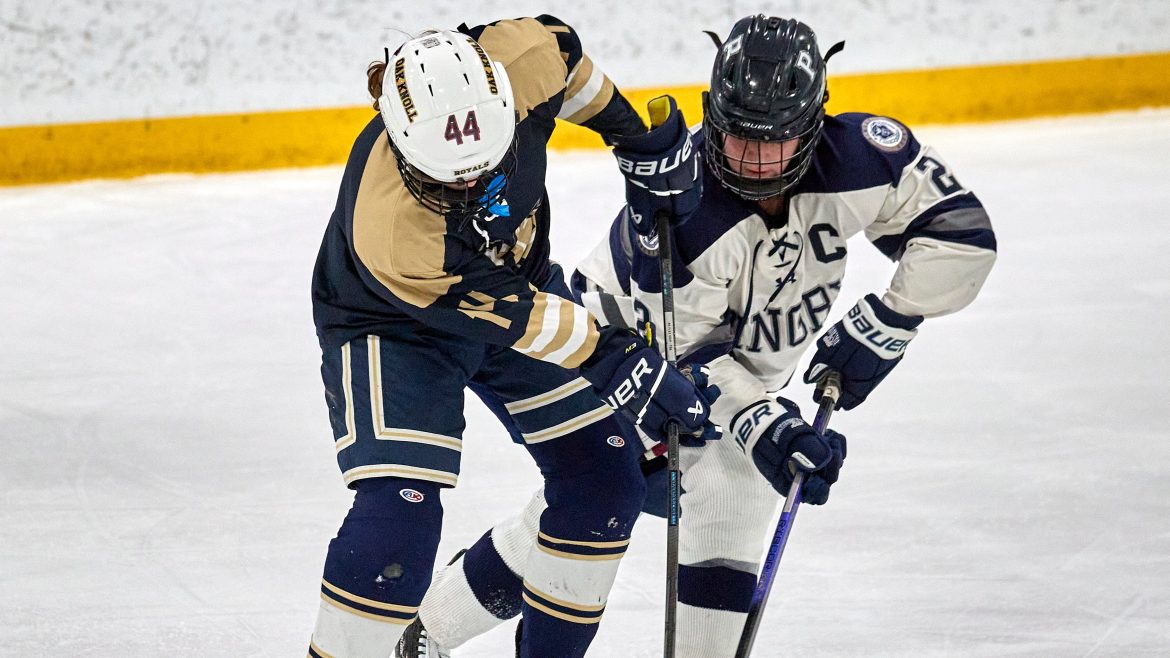 Tallula Stebbings (14) de Oak Knoll e Alexis Glasofer (2) de Pingry Battle por um disco durante o jogo de hóquei no gelo feminino no Rock Ice Center em Dunellen, NJ, na terça -feira, 14 de janeiro de 2025.