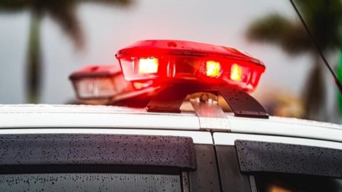 Tiago Ghizoni/Diário Catarinense