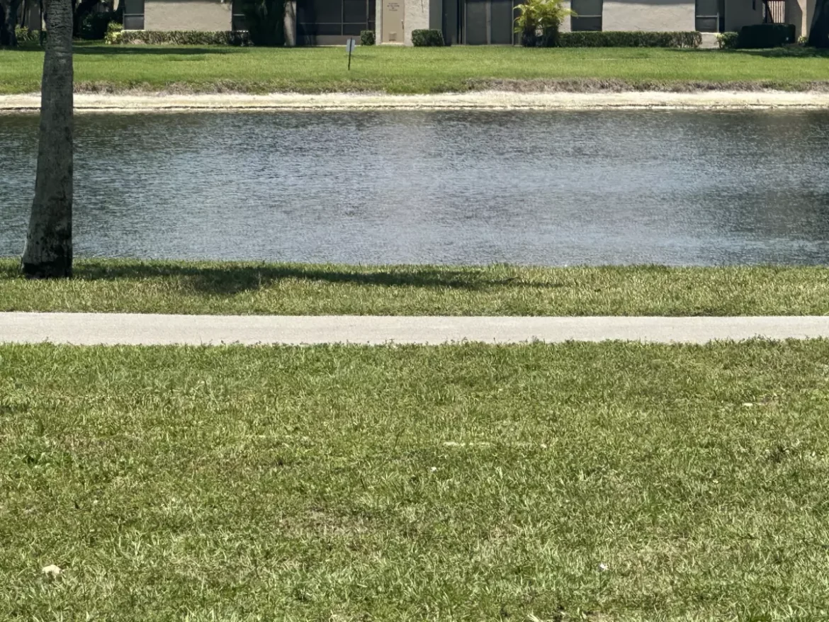 Os níveis de lago ainda estão baixos em muitas áreas do sul da Flórida.