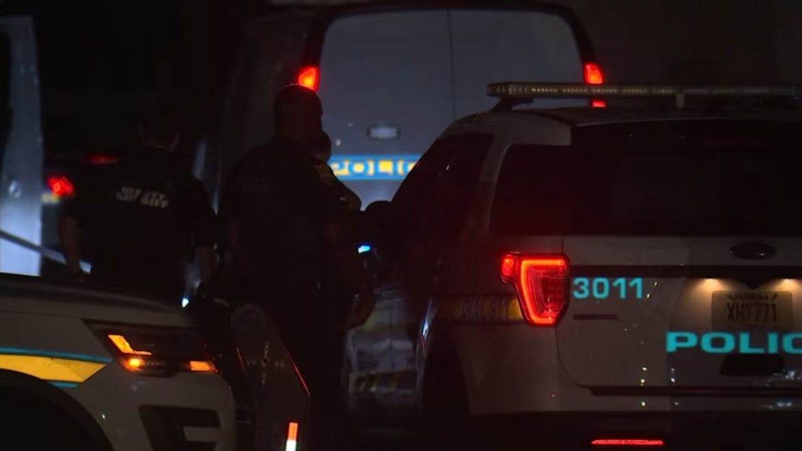 Police at scene of hit and run