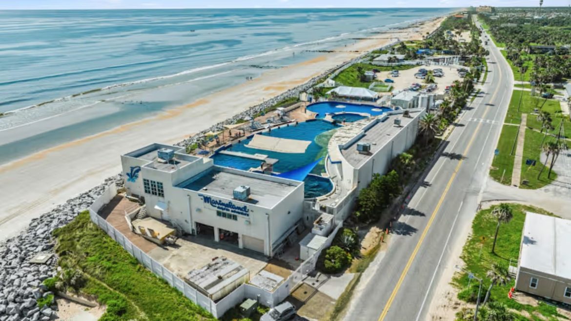 Aerial view of Marineland